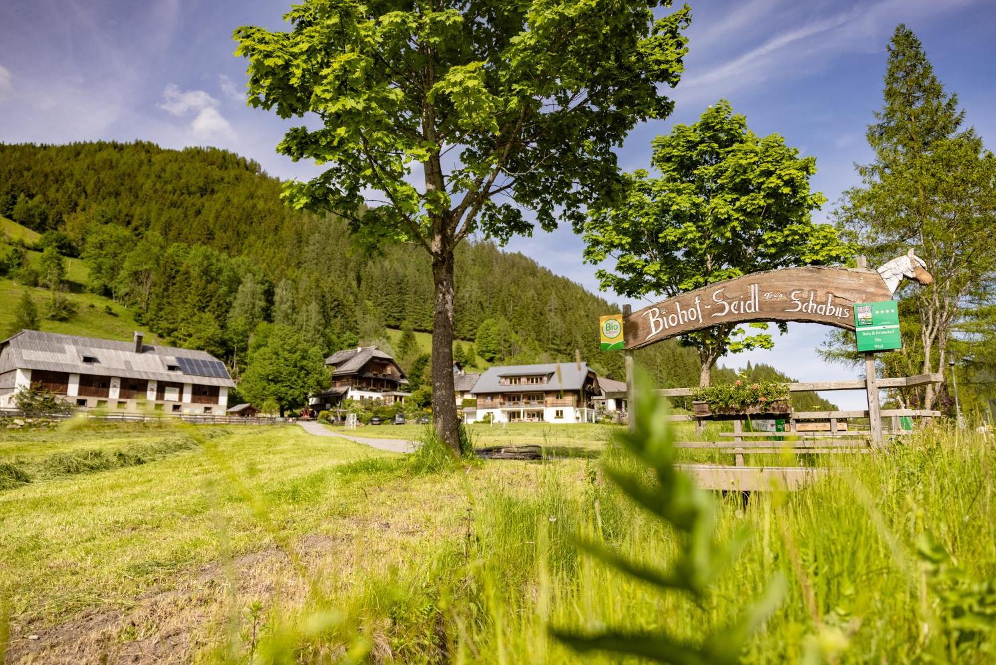 Apartament Biohof Seidl Bad Kleinkirchheim Zewnętrze zdjęcie