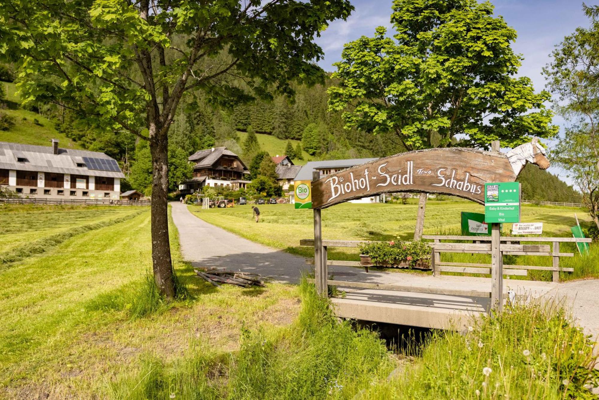 Apartament Biohof Seidl Bad Kleinkirchheim Zewnętrze zdjęcie