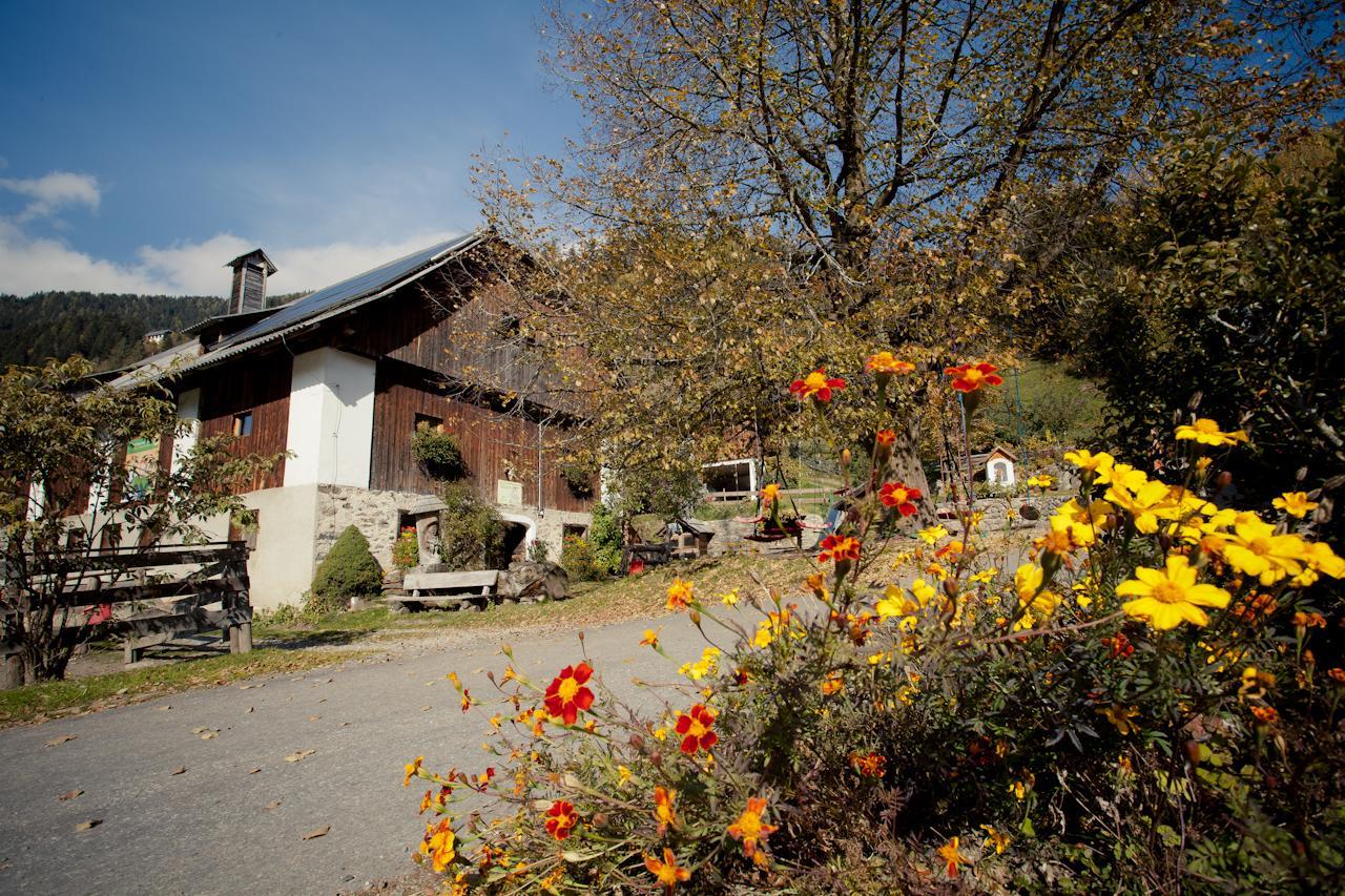 Apartament Biohof Seidl Bad Kleinkirchheim Zewnętrze zdjęcie